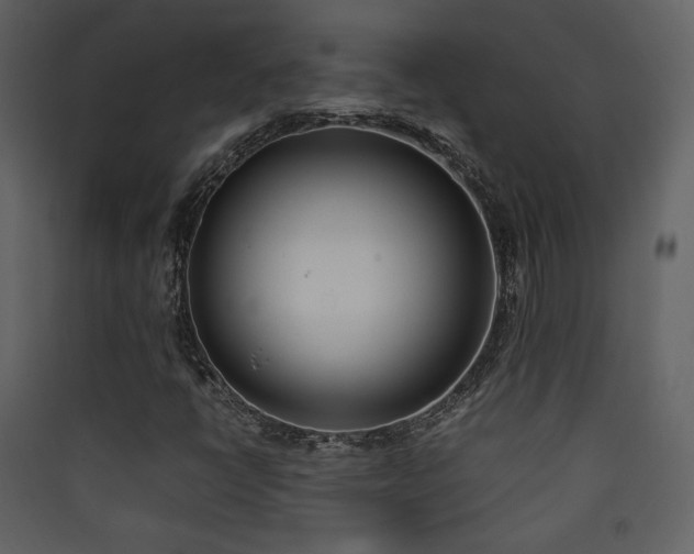 X0000090411398200707131137