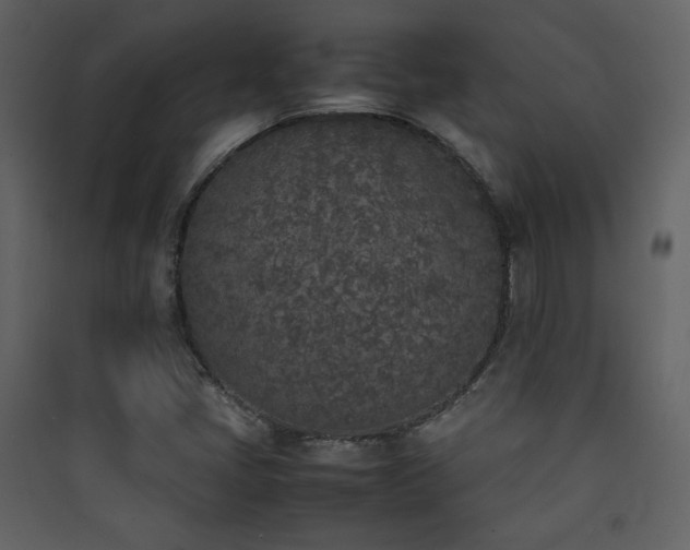X0000090411405200707131137