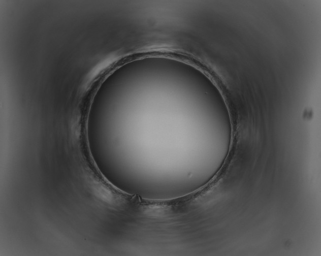X0000090411406200707131137
