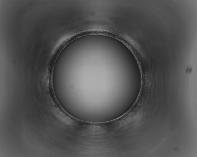 X0000090411408200707131137