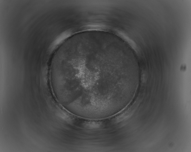 X0000090411411200707131137