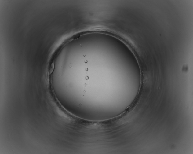 X0000090411414200707131137