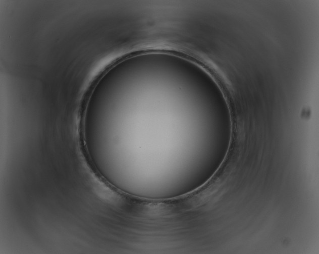 X0000090411416200707131137