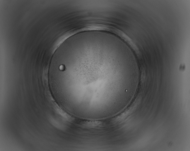 X0000090411417200707131137