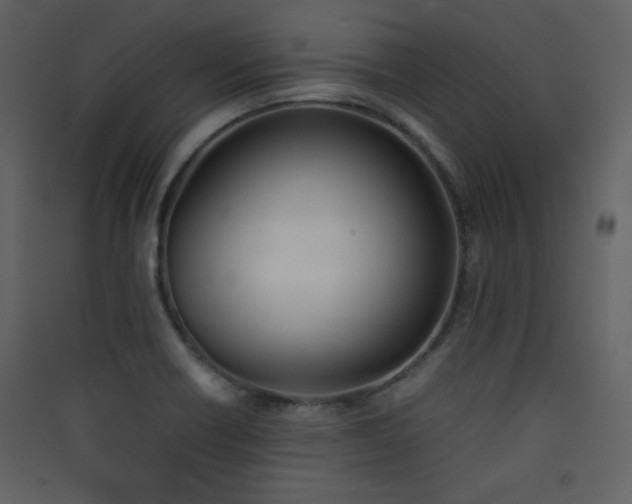X0000090411418200707131137
