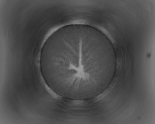 X0000090411421200707131137