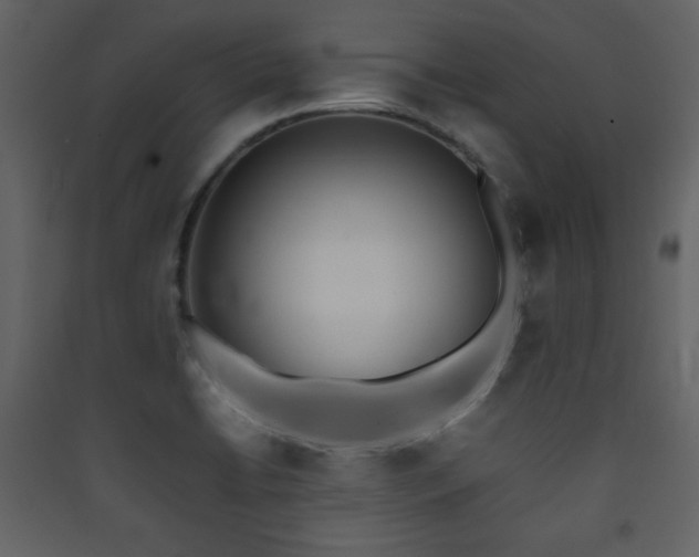 X0000090411422200707131137