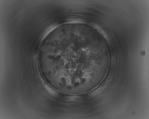X0000090411425200707131137