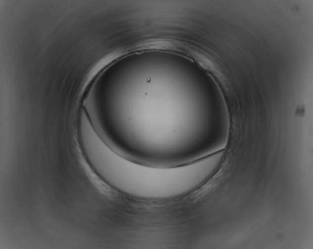 X0000090411426200707131137
