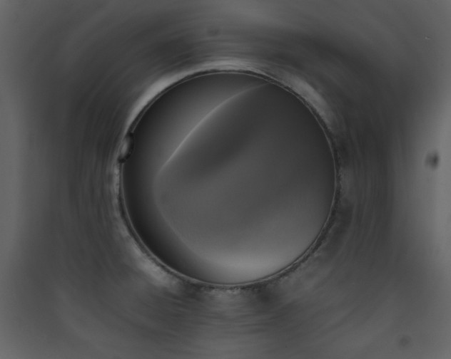 X0000090411428200707131137