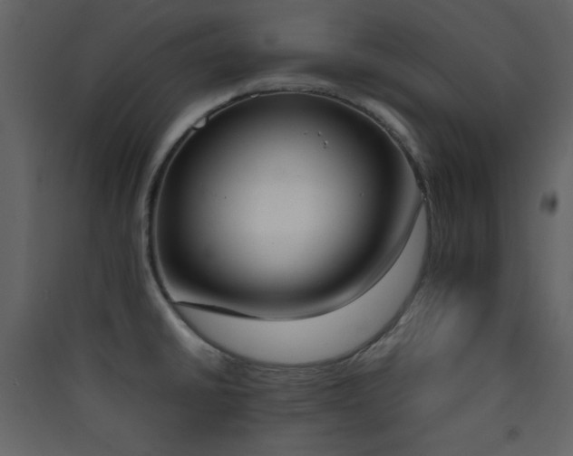 X0000090411430200707131137