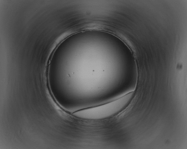 X0000090411434200707131137