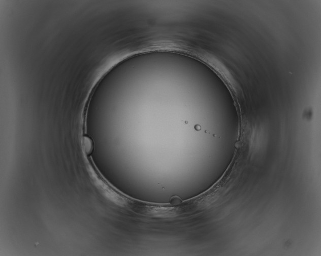 X0000090411439200707131137