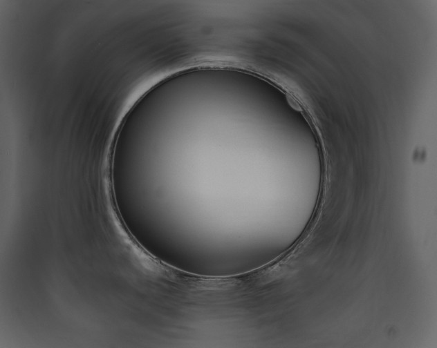 X0000090411440200707131137