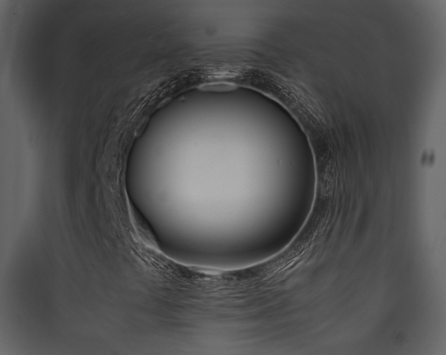 X0000090411441200707131137