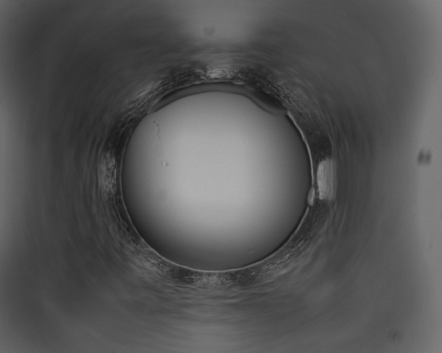 X0000090411443200707131137