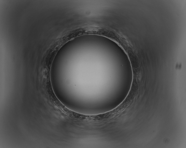 X0000090411445200707131137