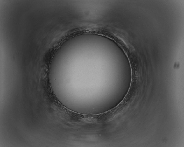 X0000090411447200707131137