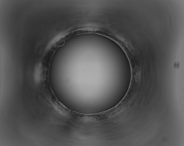 X0000090411448200707131137