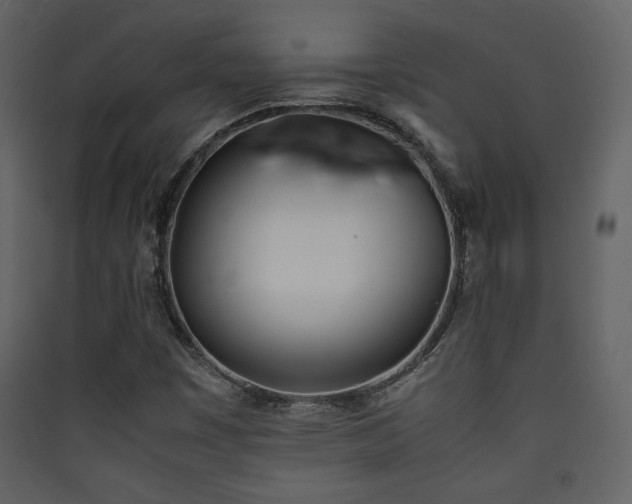 X0000090411449200707131137