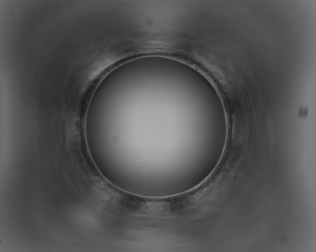 X0000090411453200707131136