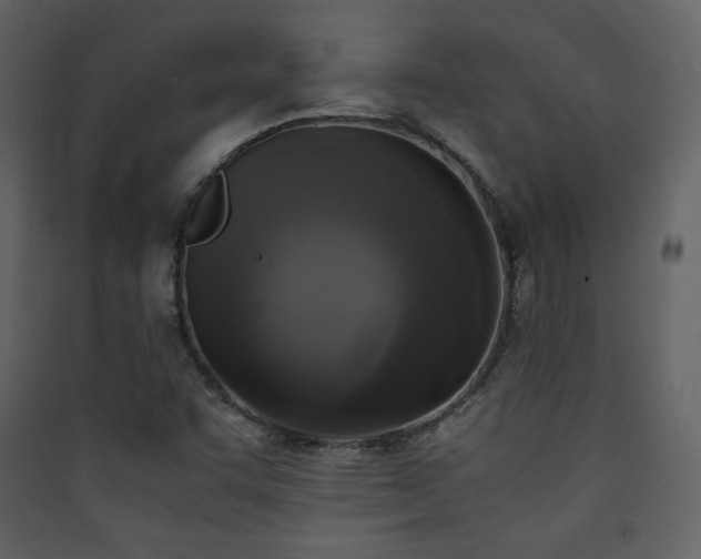 X0000090411455200707131136