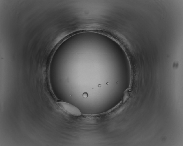 X0000090411457200707131136