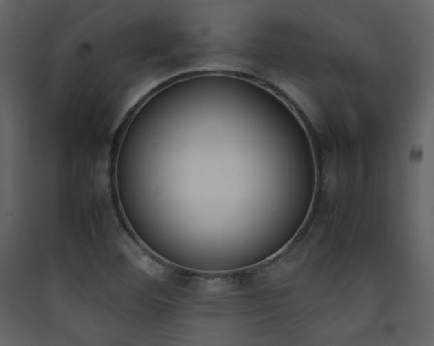 X0000090411460200707131136
