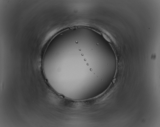 X0000090411461200707131136