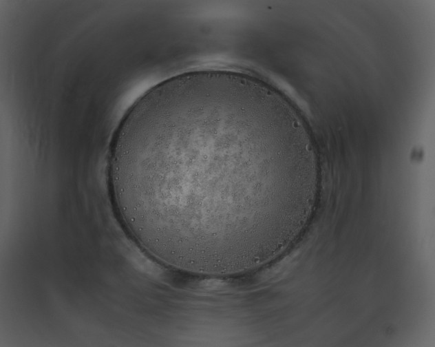 X0000090411463200707131136