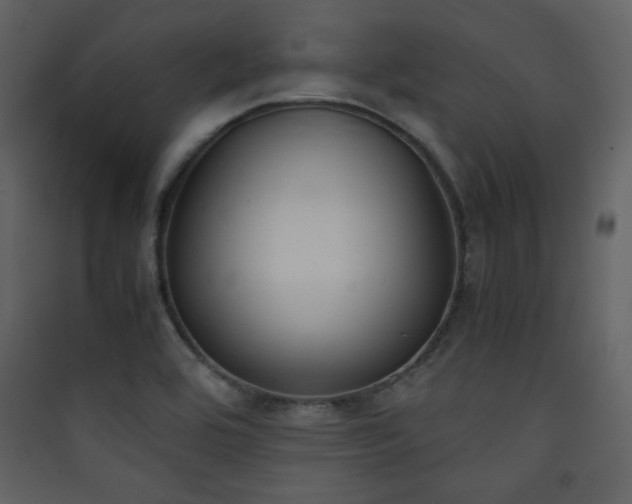 X0000090411464200707131136