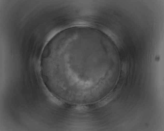 X0000090411466200707131136