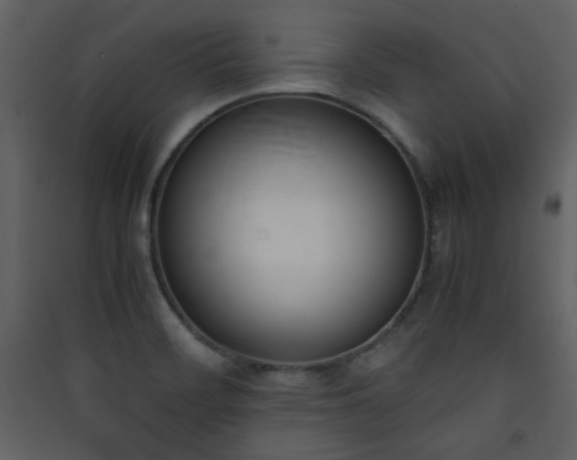 X0000090411468200707131136