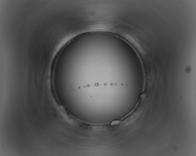 X0000090411469200707131136