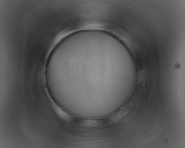 X0000090411470200707131136