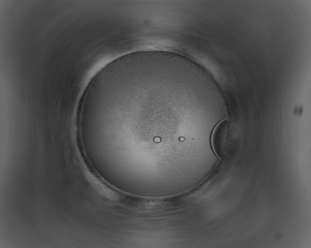 X0000090411471200707131136