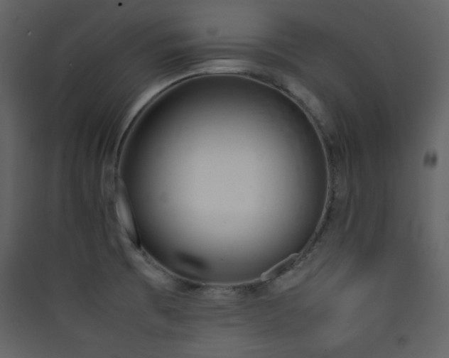 X0000090411473200707131136
