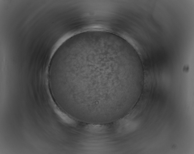 X0000090411474200707131136
