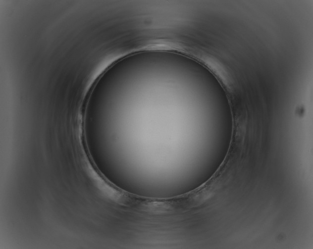 X0000090411476200707131136