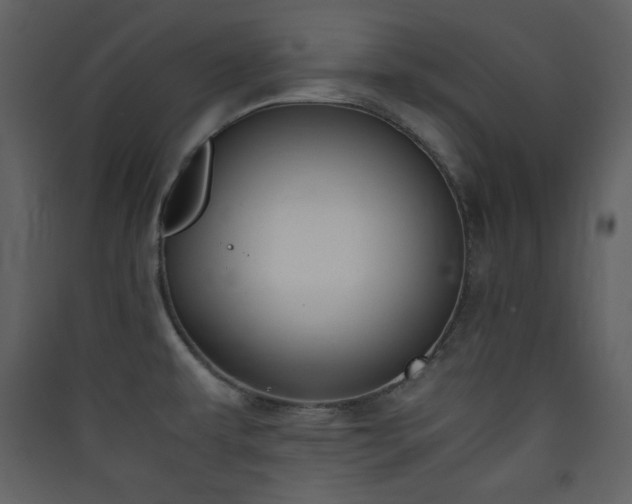 X0000090411479200707131136