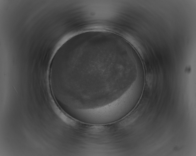 X0000090411482200707131136