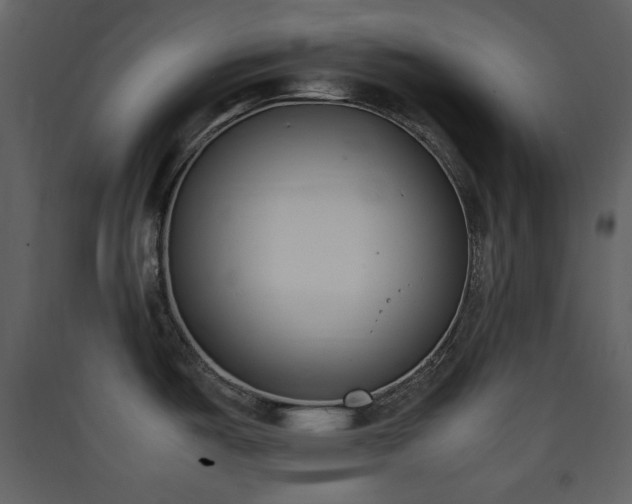 X0000090411487200707131136