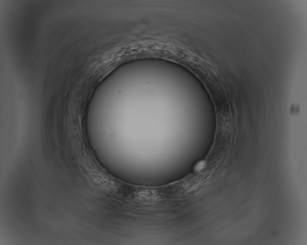 X0000090411489200707131135