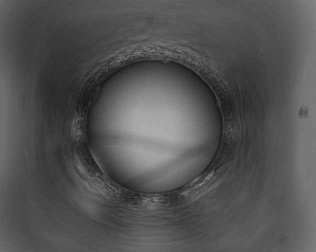 X0000090411490200707131135