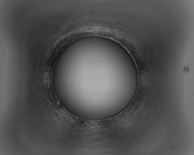 X0000090411493200707131135