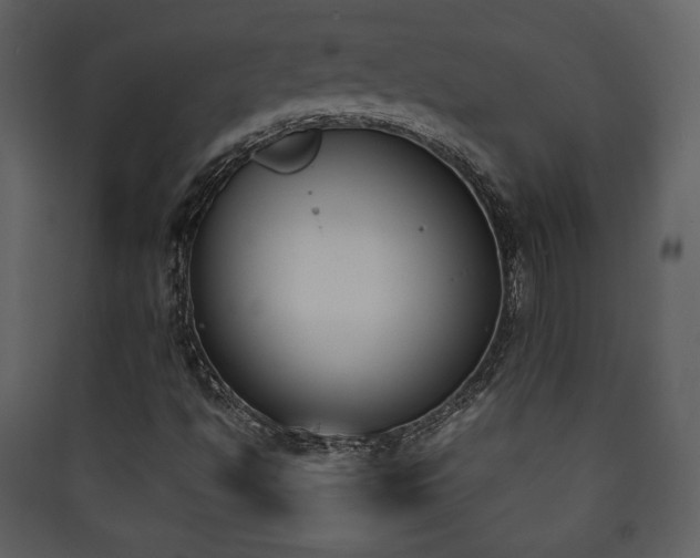 X0000090411494200707131135