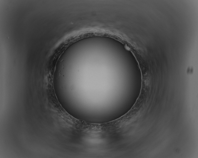 X0000090411495200707131135