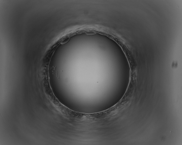 X0000090411496200707131135