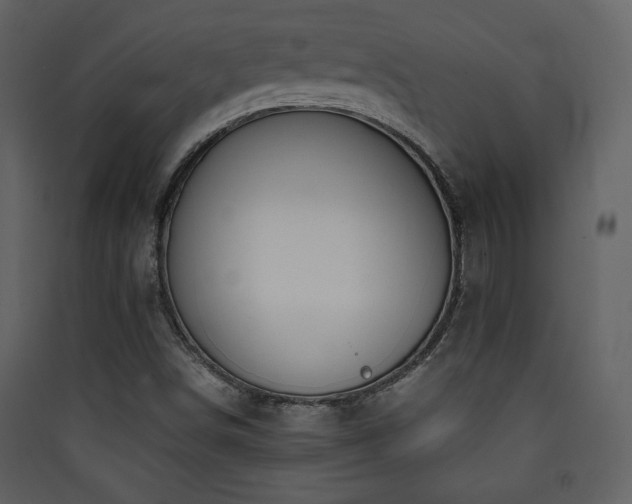 X0000090411498200707131135