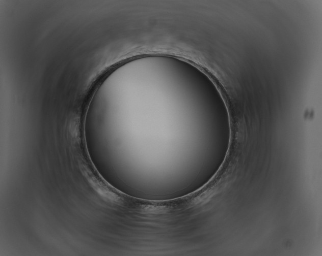 X0000090411499200707131135